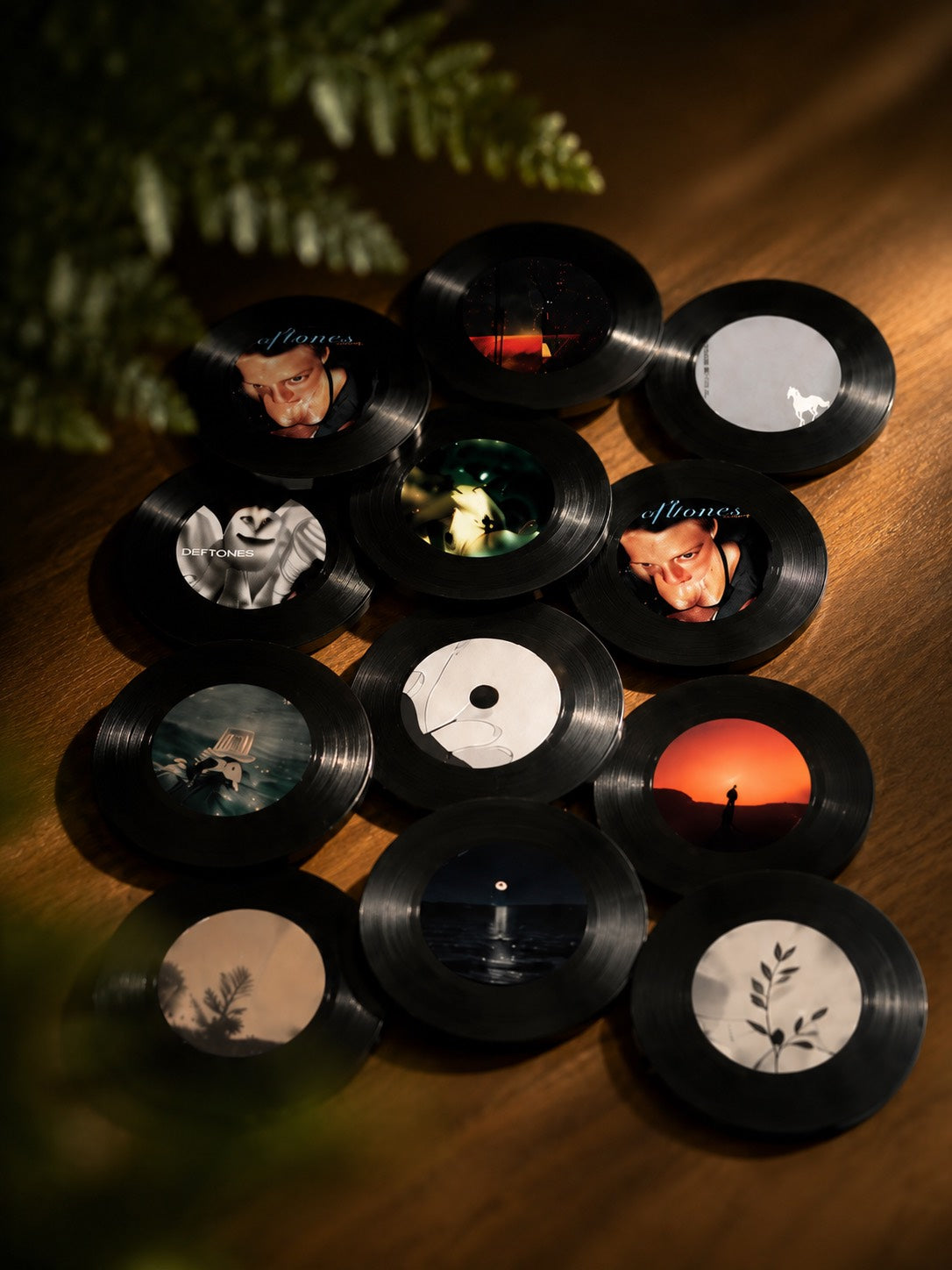 Deftones Disc Set
